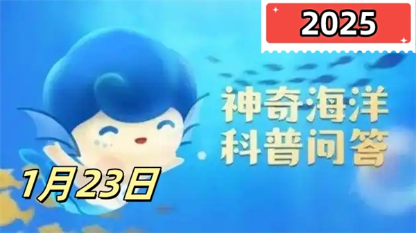 神奇海洋1月23日答案2025-人們俗稱的海鞭是以下哪種海洋生物