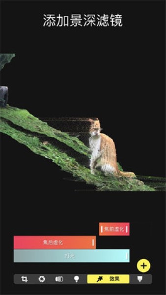 Focos相机免费版手机下载