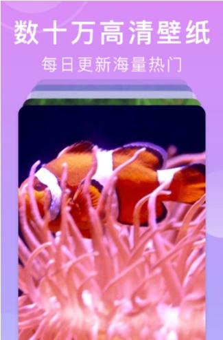 壁纸全能王完整版下载