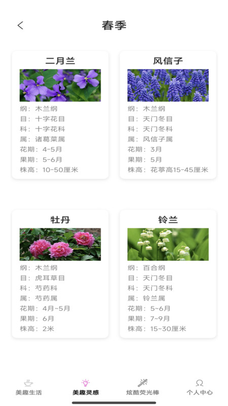 美趣特效无广告下载