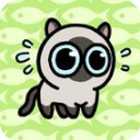 冒险猫小官方正版