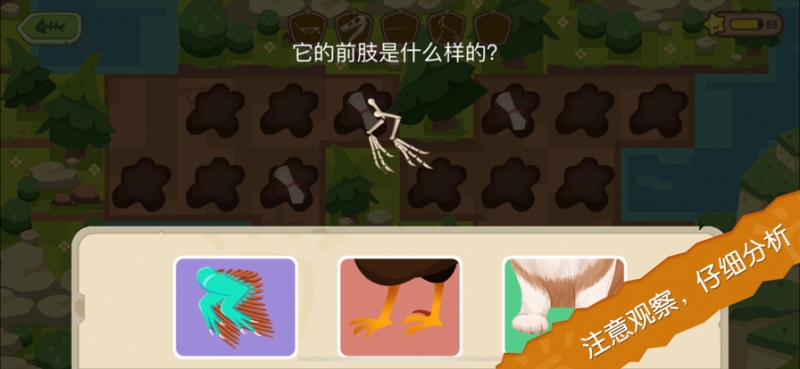 恐龙考古队单机版下载