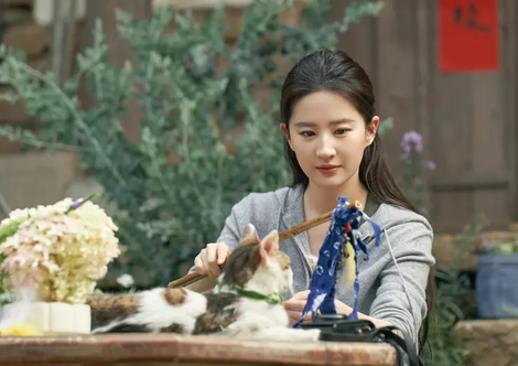 嗨嗨影视去广告版app下载