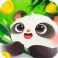 好运熊猫安装免费版