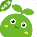 豌豆素质app官方