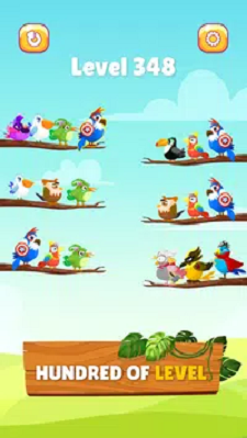 小鸟分类大师官网下载