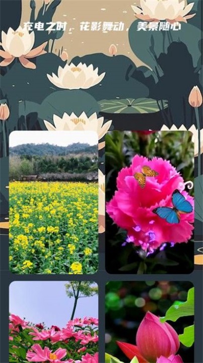 花影充电手机下载