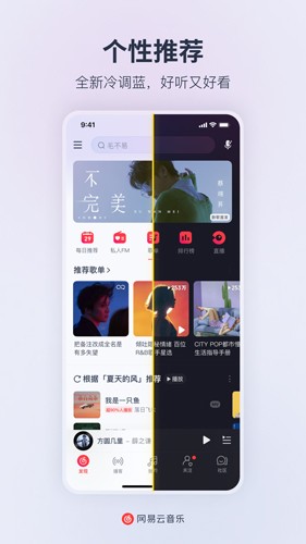 网易云音乐去广告去升级截图0